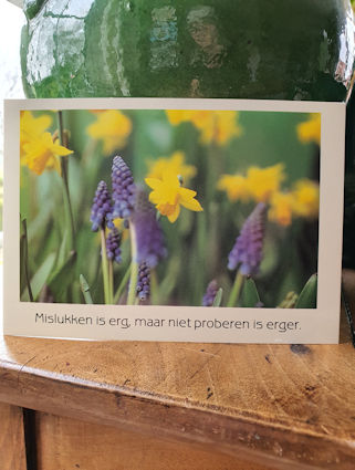 Klik voor groter beeld