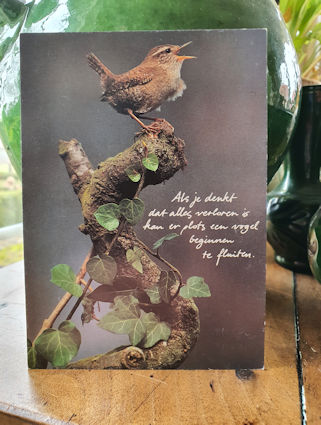 Klik voor groter beeld