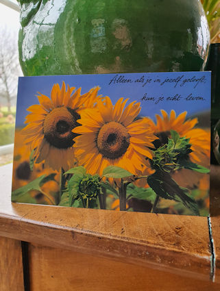 Klik voor groter beeld