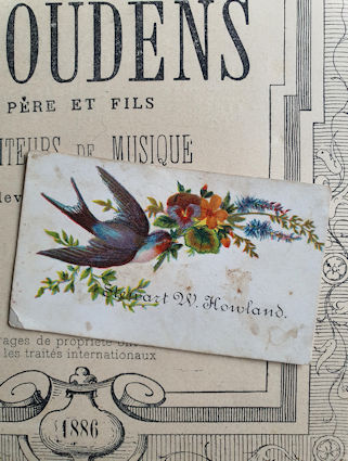 Klik voor groter beeld