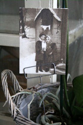 Klik voor groter beeld